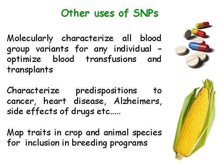 Other uses of SNPs Molecularly characterize all blood group variants for any individual –