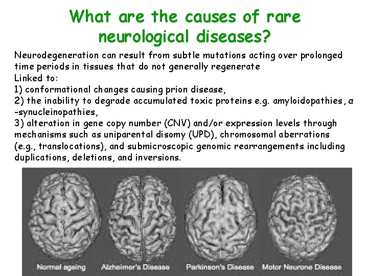 What are the causes of rare neurological diseases? Neurodegeneration can result from subtle mutations
