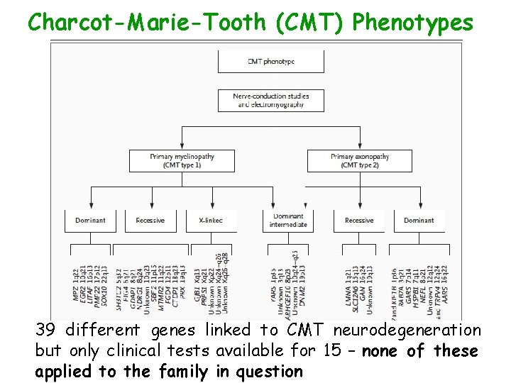Charcot-Marie-Tooth (CMT) Phenotypes 39 different genes linked to CMT neurodegeneration but only clinical tests