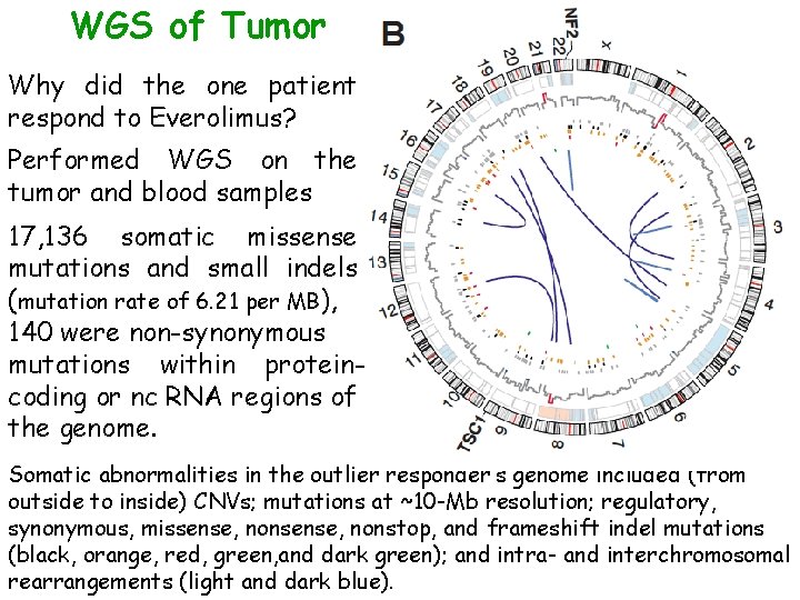 WGS of Tumor Why did the one patient respond to Everolimus? Performed WGS on