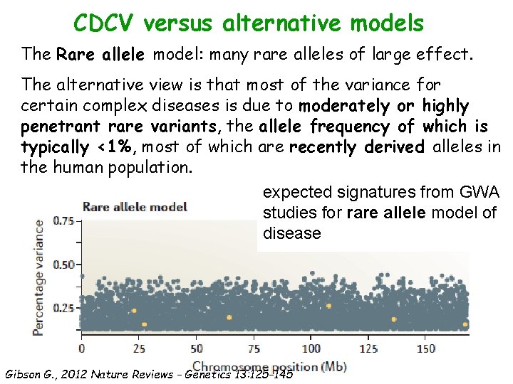 CDCV versus alternative models The Rare allele model: many rare alleles of large effect.