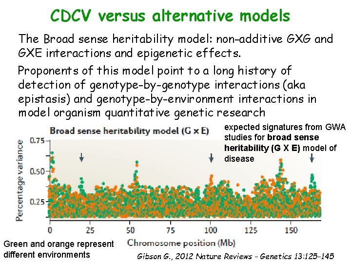 CDCV versus alternative models The Broad sense heritability model: non-additive GXG and GXE interactions