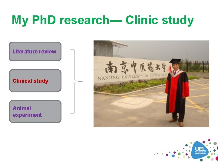 My Ph. D research— Clinic study Literature review Clinical study Animal experiment 