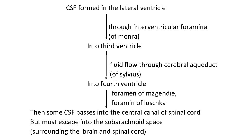  CSF formed in the lateral ventricle through interventricular foramina (of monra) Into third