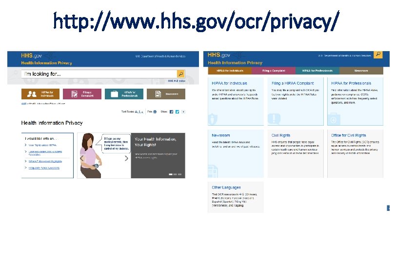 http: //www. hhs. gov/ocr/privacy/ 