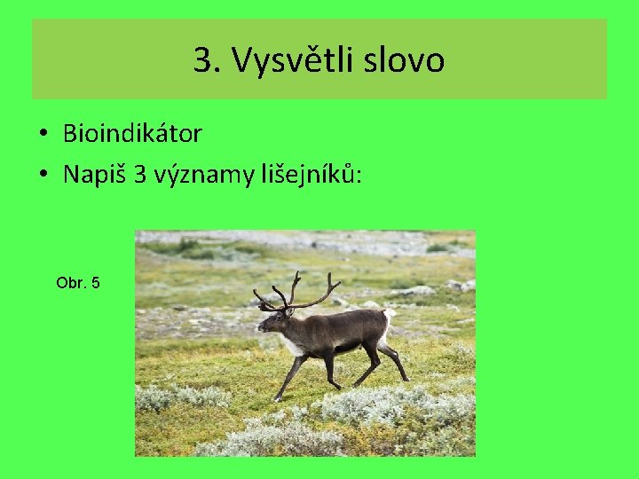 3. Vysvětli slovo • Bioindikátor • Napiš 3 významy lišejníků: Obr. 5 