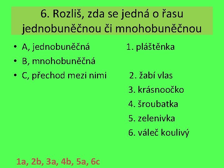 6. Rozliš, zda se jedná o řasu jednobuněčnou či mnohobuněčnou • A, jednobuněčná •