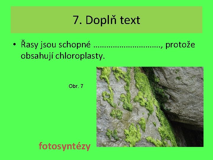 7. Doplň text • Řasy jsou schopné ……………. , protože obsahují chloroplasty. Obr. 7