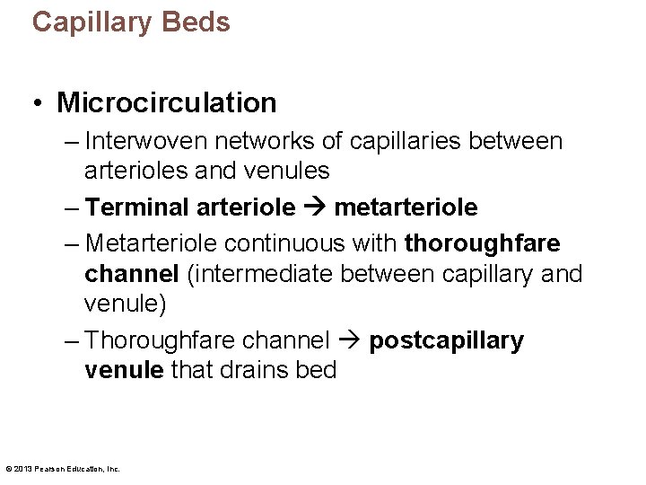 Capillary Beds • Microcirculation – Interwoven networks of capillaries between arterioles and venules –