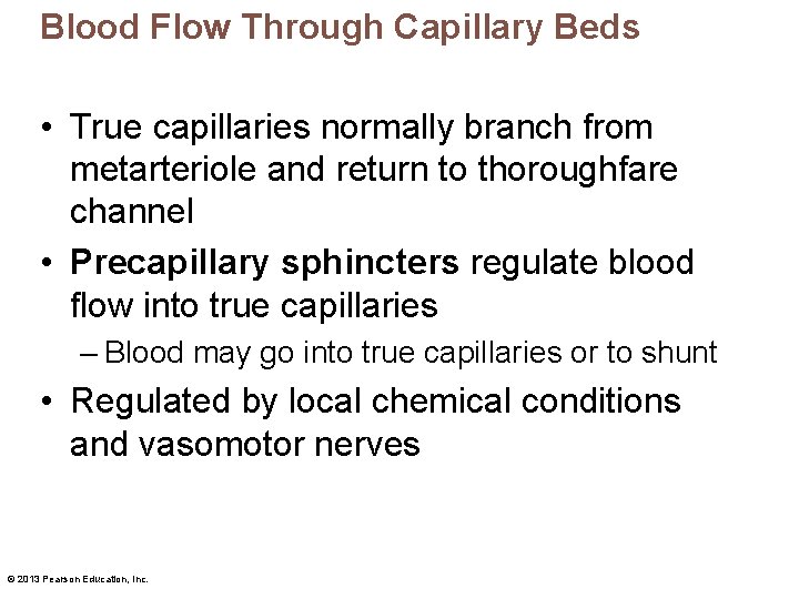 Blood Flow Through Capillary Beds • True capillaries normally branch from metarteriole and return