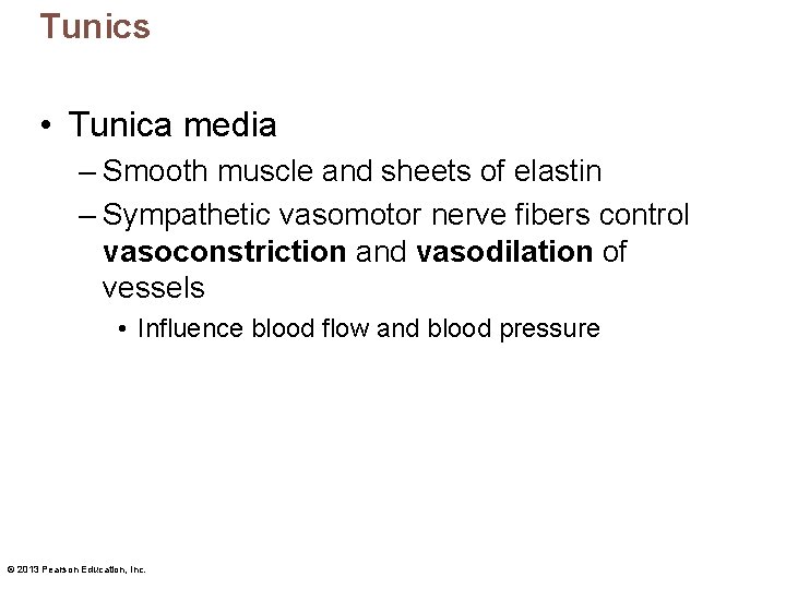 Tunics • Tunica media – Smooth muscle and sheets of elastin – Sympathetic vasomotor