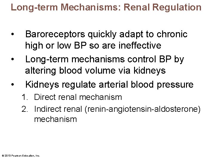 Long-term Mechanisms: Renal Regulation • • • Baroreceptors quickly adapt to chronic high or