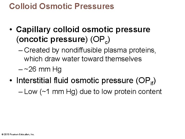 Colloid Osmotic Pressures • Capillary colloid osmotic pressure (oncotic pressure) (OPc) – Created by