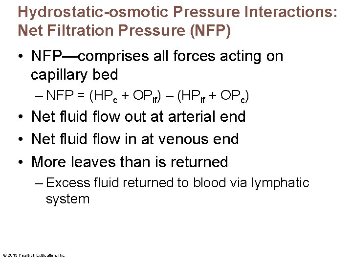 Hydrostatic-osmotic Pressure Interactions: Net Filtration Pressure (NFP) • NFP—comprises all forces acting on capillary