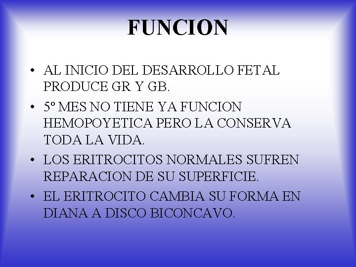 FUNCION • AL INICIO DEL DESARROLLO FETAL PRODUCE GR Y GB. • 5º MES