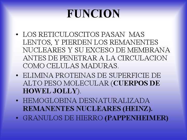 FUNCION • LOS RETICULOSCITOS PASAN MAS LENTOS, Y PIERDEN LOS REMANENTES NUCLEARES Y SU