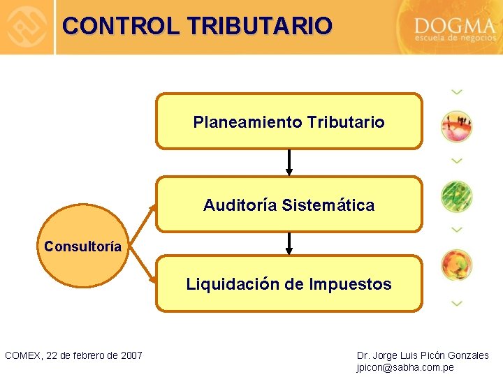 CONTROL TRIBUTARIO Planeamiento Tributario Auditoría Sistemática Consultoría Liquidación de Impuestos COMEX, 22 de febrero