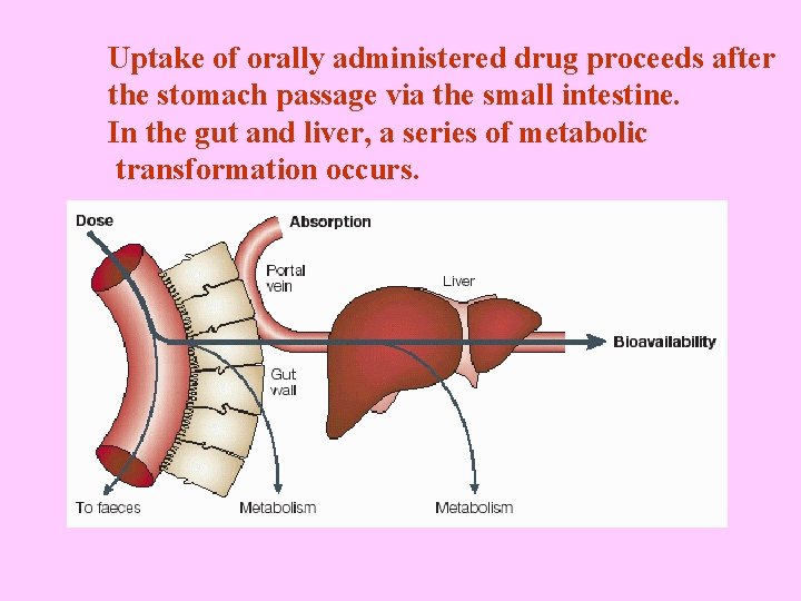 Uptake of orally administered drug proceeds after the stomach passage via the small intestine.