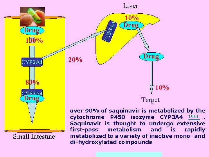 P 3 A 4 Liver CYP 3 A 4 80% CYP 3 A 4