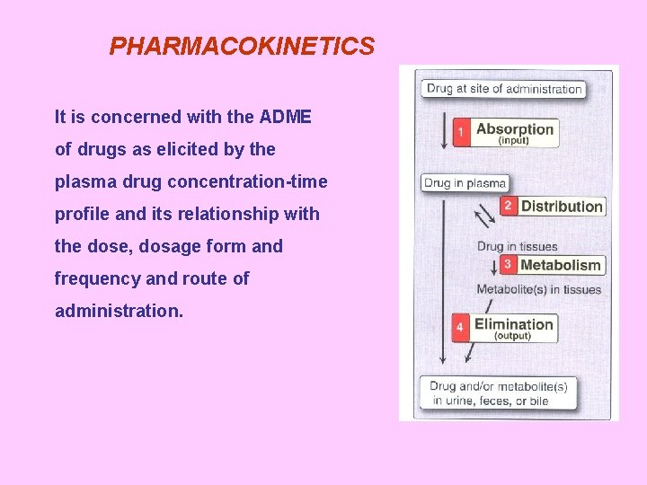 PHARMACOKINETICS It is concerned with the ADME of drugs as elicited by the plasma