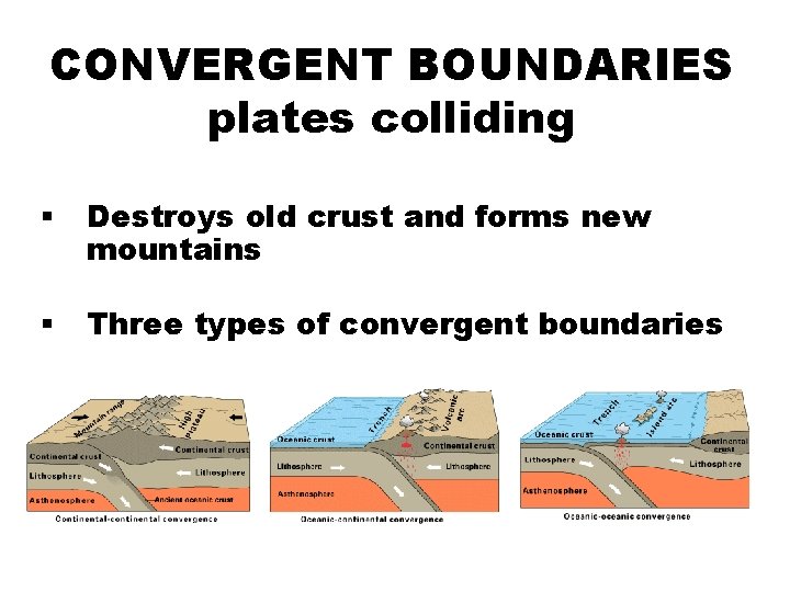 CONVERGENT BOUNDARIES plates colliding § Destroys old crust and forms new mountains § Three