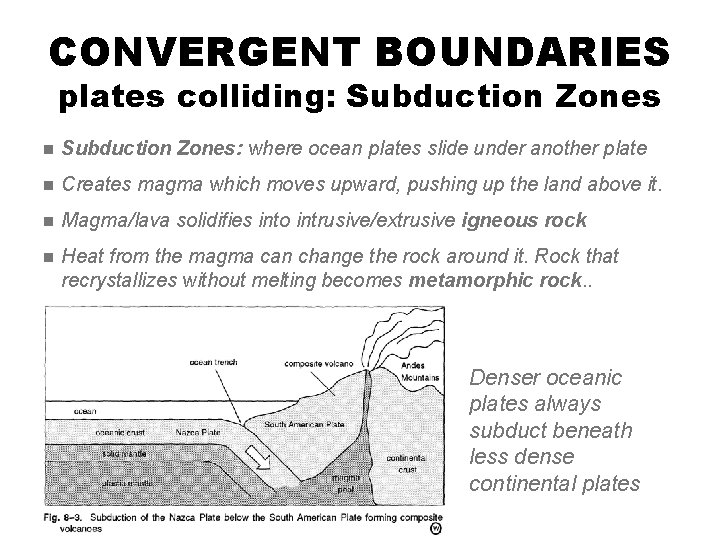 CONVERGENT BOUNDARIES plates colliding: Subduction Zones n Subduction Zones: where ocean plates slide under