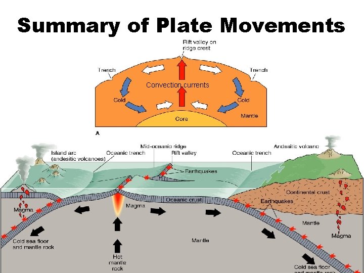 Summary of Plate Movements Convection currents 