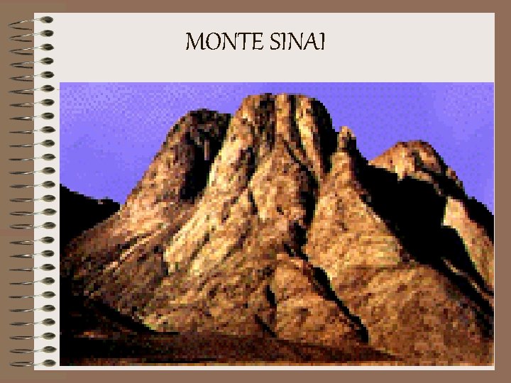 MONTE SINAI 