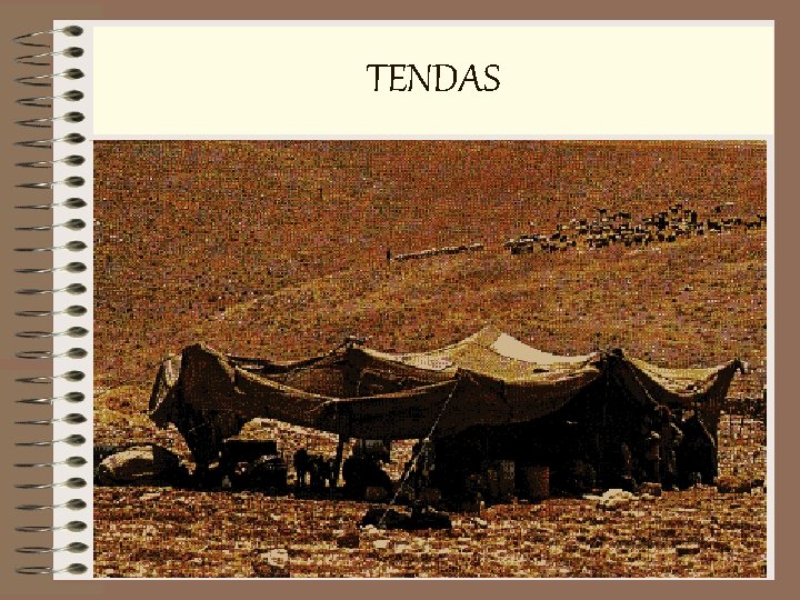  TENDAS 