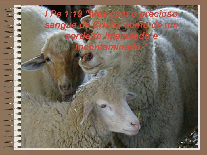 I Pe 1: 19 "Mas com o precioso sangue de Cristo, como de um