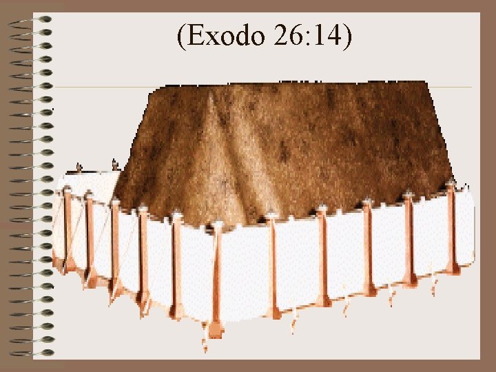 (Exodo 26: 14) 