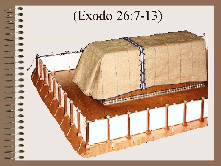 (Exodo 26: 7 -13) 