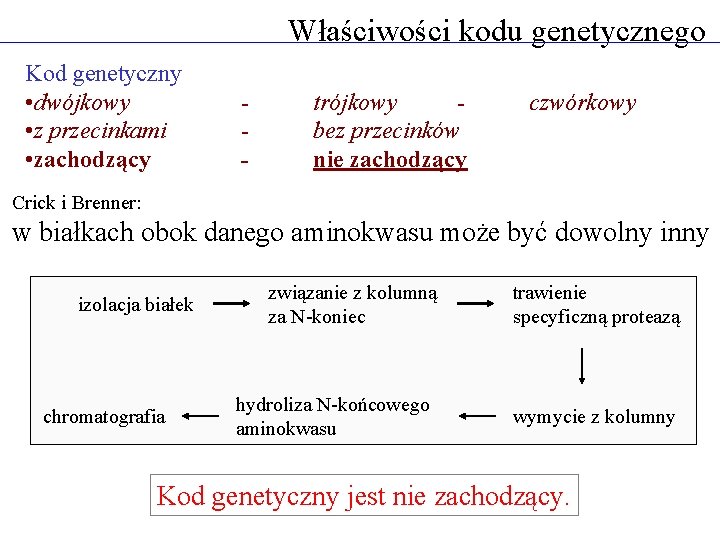 Właściwości kodu genetycznego Kod genetyczny • dwójkowy • z przecinkami • zachodzący - trójkowy