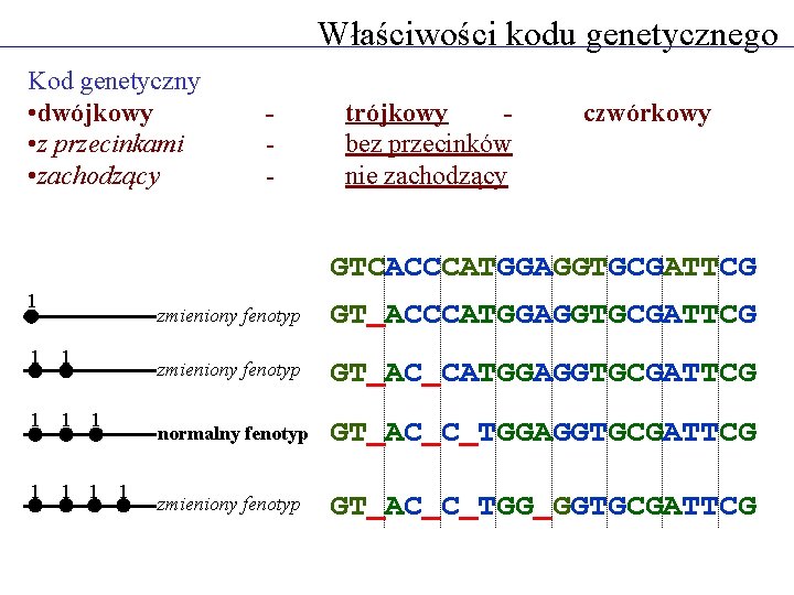 Właściwości kodu genetycznego Kod genetyczny • dwójkowy • z przecinkami • zachodzący - trójkowy