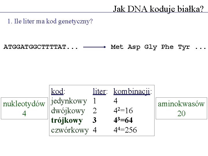 Jak DNA koduje białka? 1. Ile liter ma kod genetyczny? ATGGCTTTTAT. . . kod: