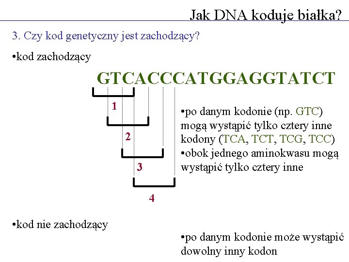 Jak DNA koduje białka? 3. Czy kod genetyczny jest zachodzący? • kod zachodzący GTCACCCATGGAGGTATCT