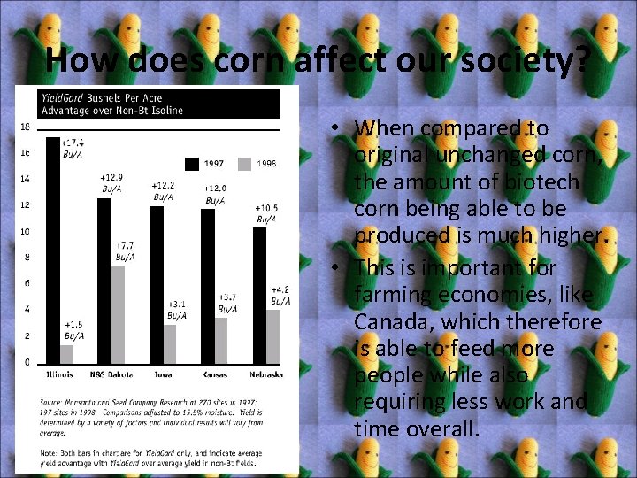 How does corn affect our society? • When compared to original unchanged corn, the