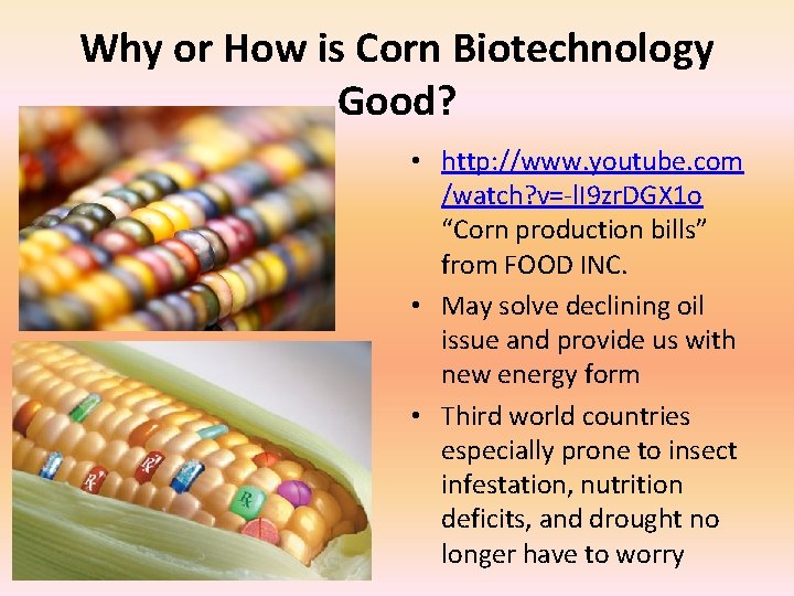 Why or How is Corn Biotechnology Good? • http: //www. youtube. com /watch? v=-l.