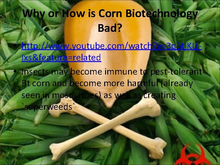 Why or How is Corn Biotechnology Bad? • http: //www. youtube. com/watch? v=3 q