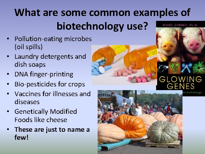 What are some common examples of biotechnology use? • Pollution-eating microbes (oil spills) •
