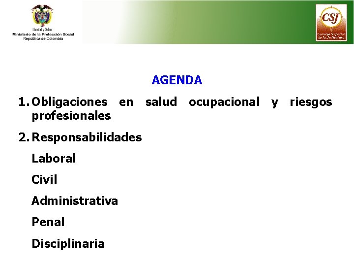 AGENDA 1. Obligaciones en salud ocupacional y riesgos profesionales 2. Responsabilidades Laboral Civil Administrativa
