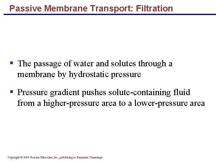 Passive Membrane Transport: Filtration § The passage of water and solutes through a membrane