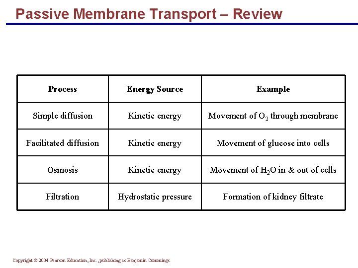 Passive Membrane Transport – Review Process Energy Source Example Simple diffusion Kinetic energy Movement