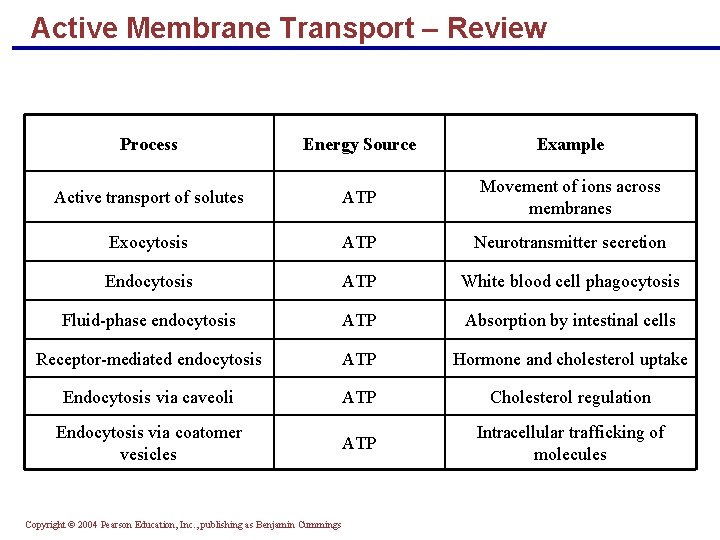 Active Membrane Transport – Review Process Energy Source Example Active transport of solutes ATP