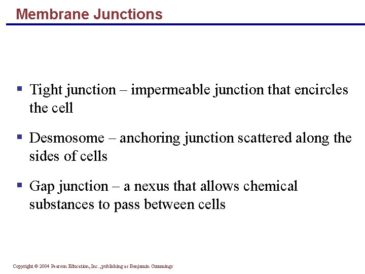 Membrane Junctions § Tight junction – impermeable junction that encircles the cell § Desmosome