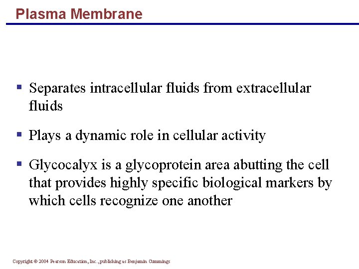 Plasma Membrane § Separates intracellular fluids from extracellular fluids § Plays a dynamic role