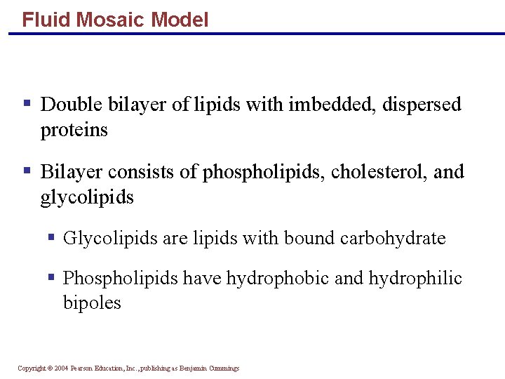 Fluid Mosaic Model § Double bilayer of lipids with imbedded, dispersed proteins § Bilayer