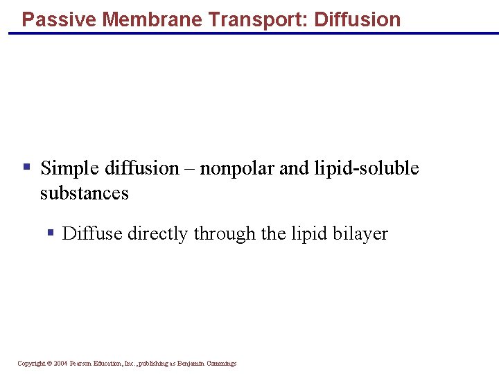 Passive Membrane Transport: Diffusion § Simple diffusion – nonpolar and lipid-soluble substances § Diffuse