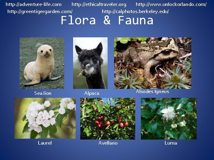 http: //adventure-life. com http: //ethicaltraveler. org http: //www. unlockorlando. com/ http: //greentigergarden. com/ http: