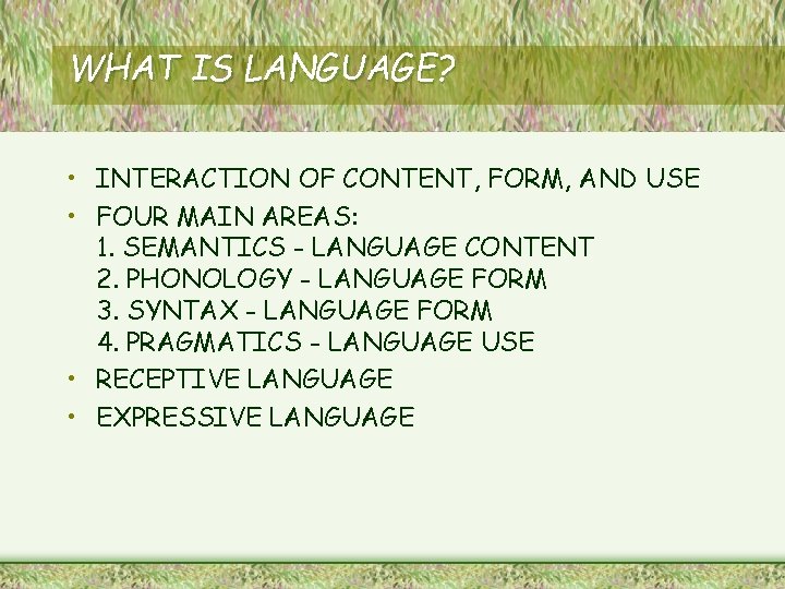 WHAT IS LANGUAGE? • INTERACTION OF CONTENT, FORM, AND USE • FOUR MAIN AREAS: